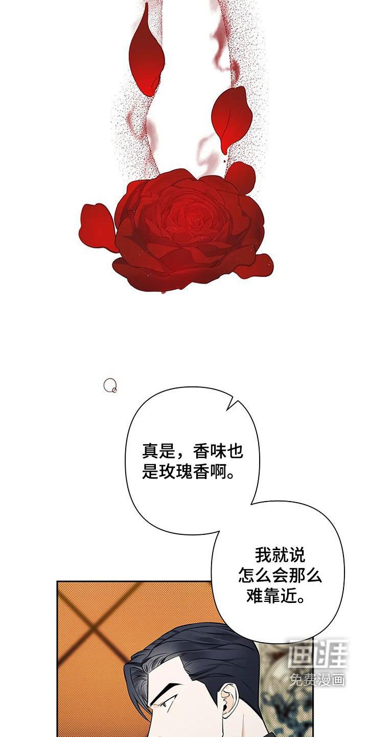 第64章：玫瑰香