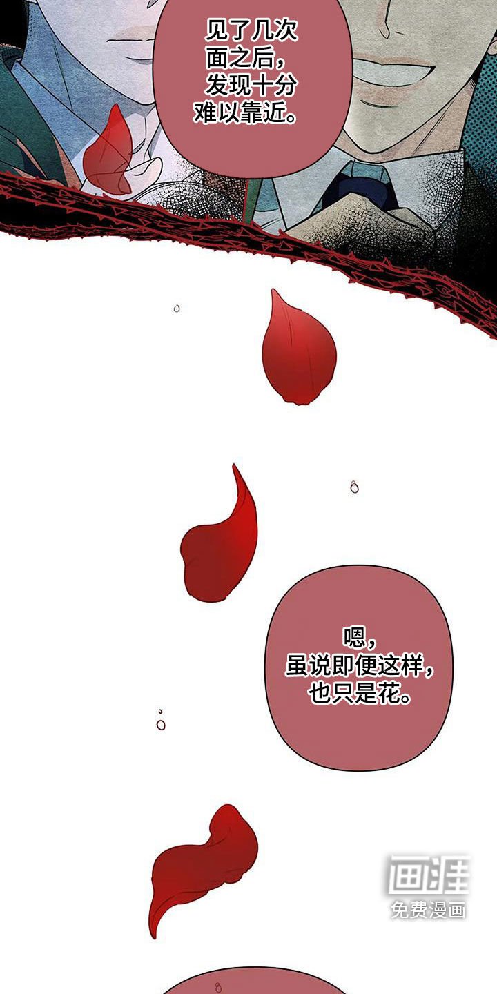 第64章：玫瑰香