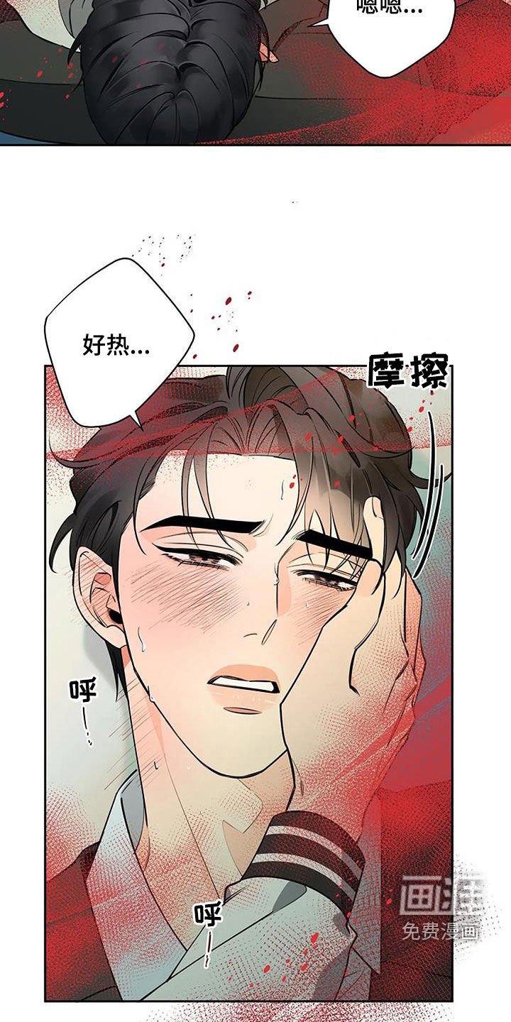 第65章：意识模糊