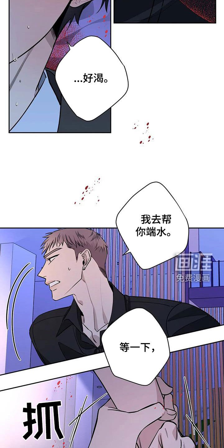 第66章：我是谁