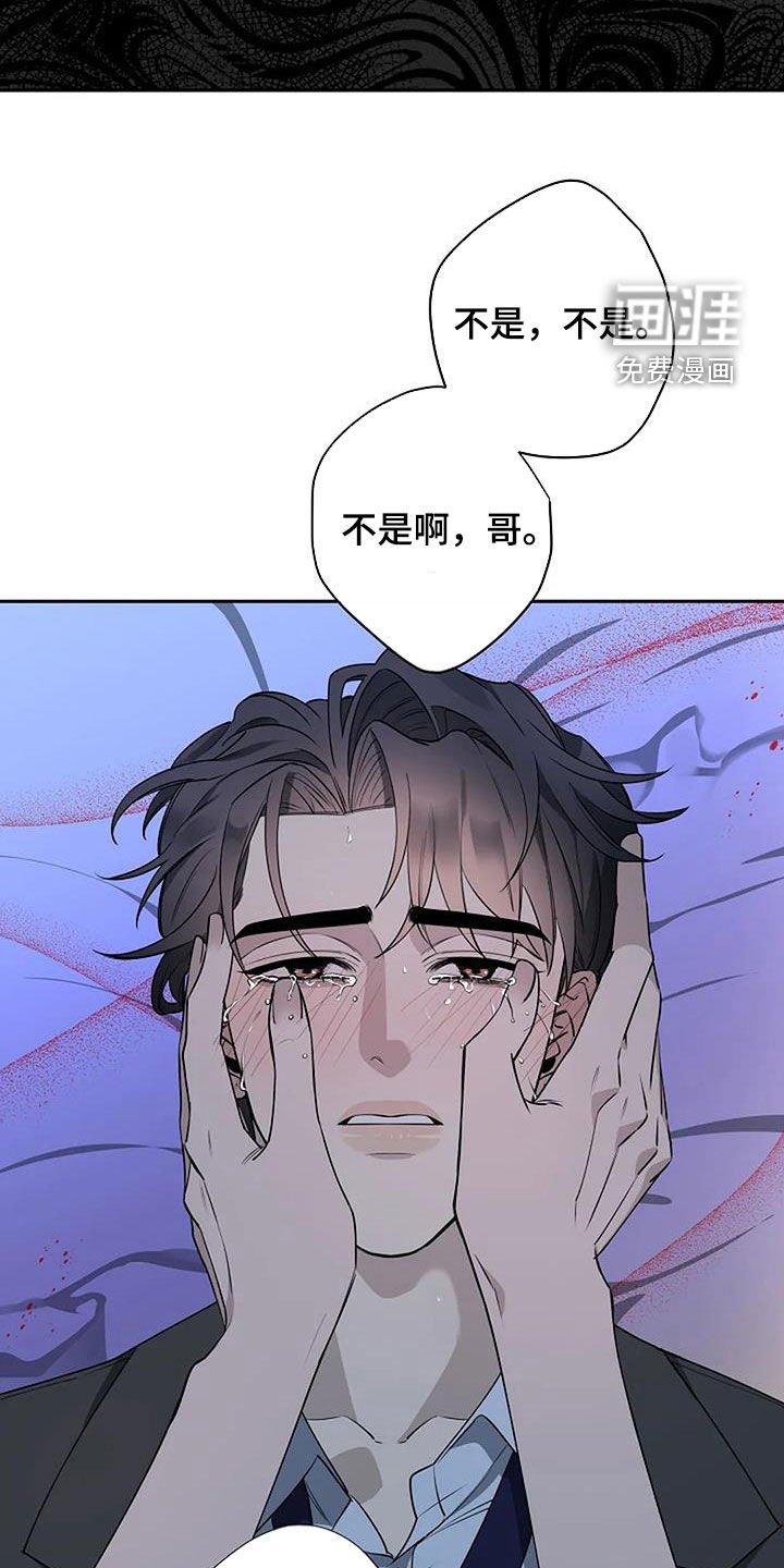 第67章：你很可爱