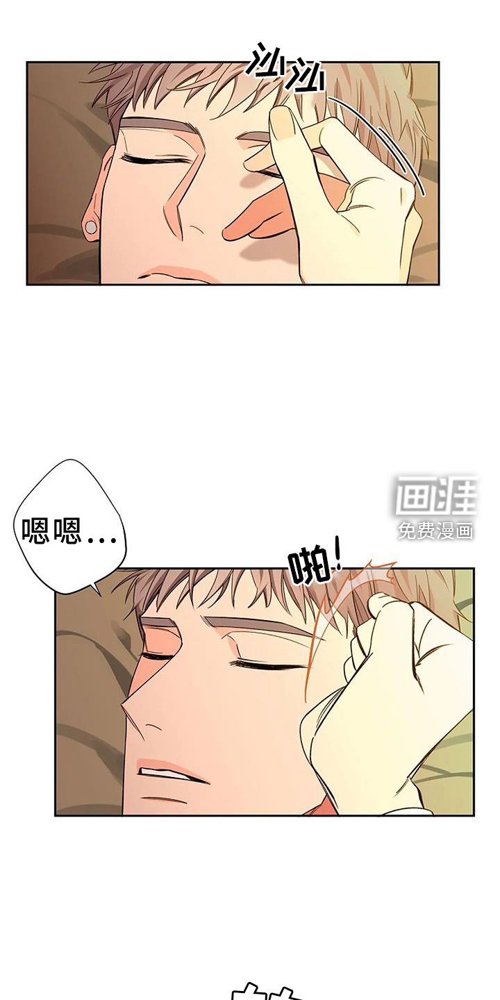 第81章：去哪