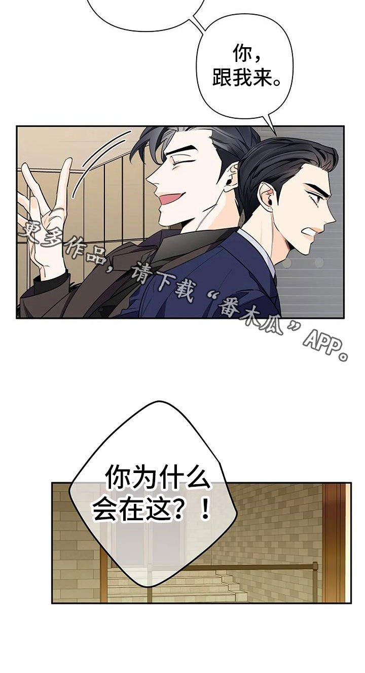 第85章：常客