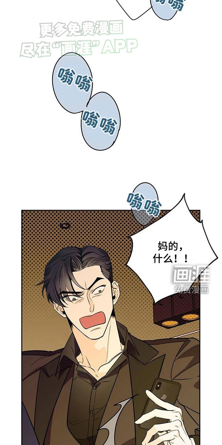 第87章：丑小鸭