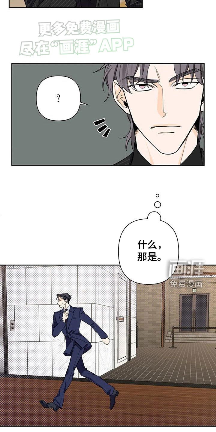 第87章：丑小鸭