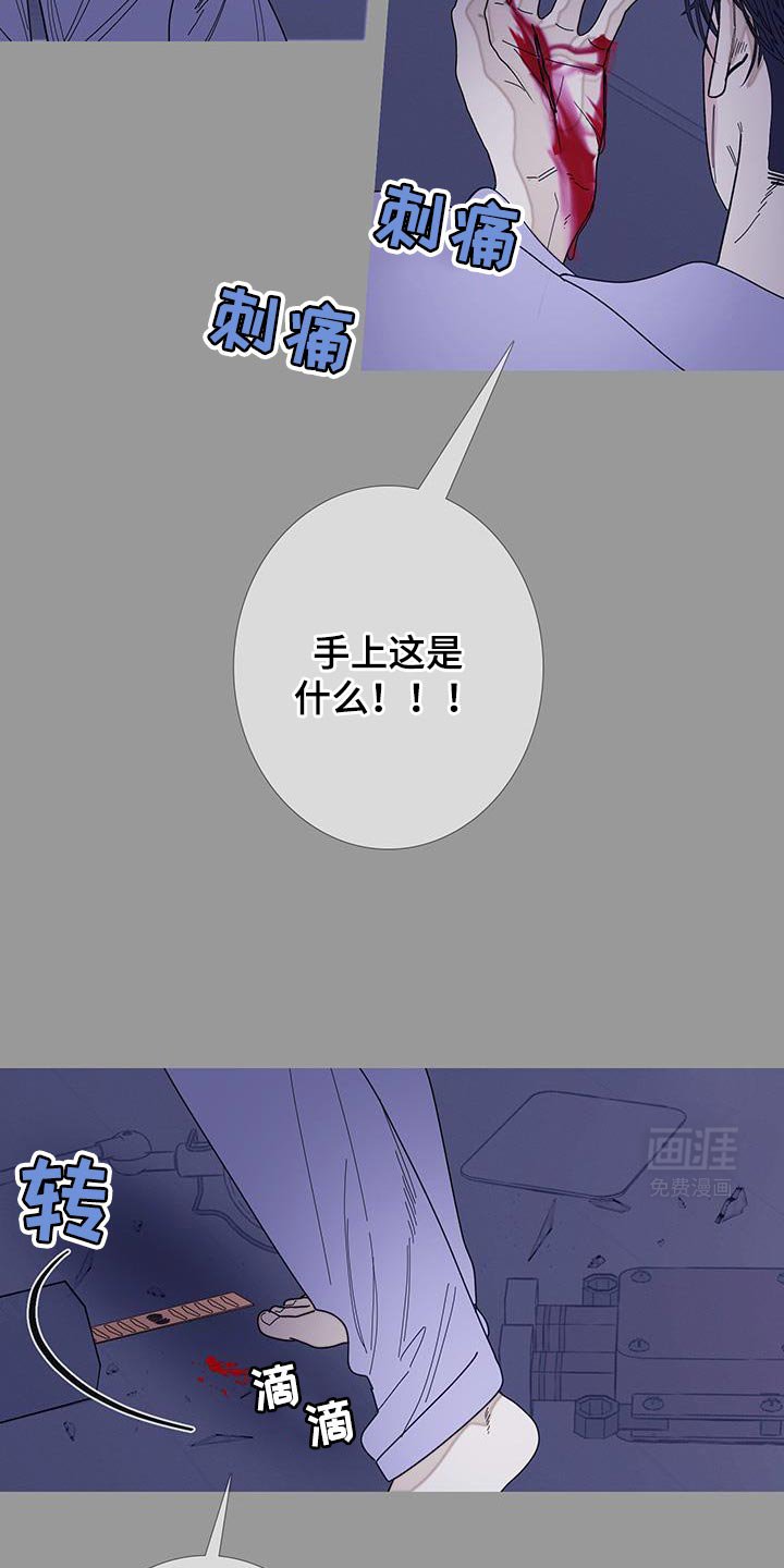 第121章：【第二季】你给我的