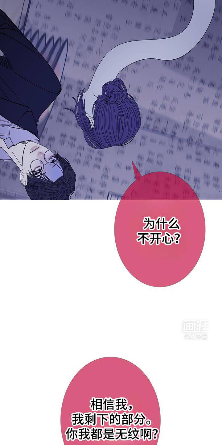 第125章：【第二季】都是无纹