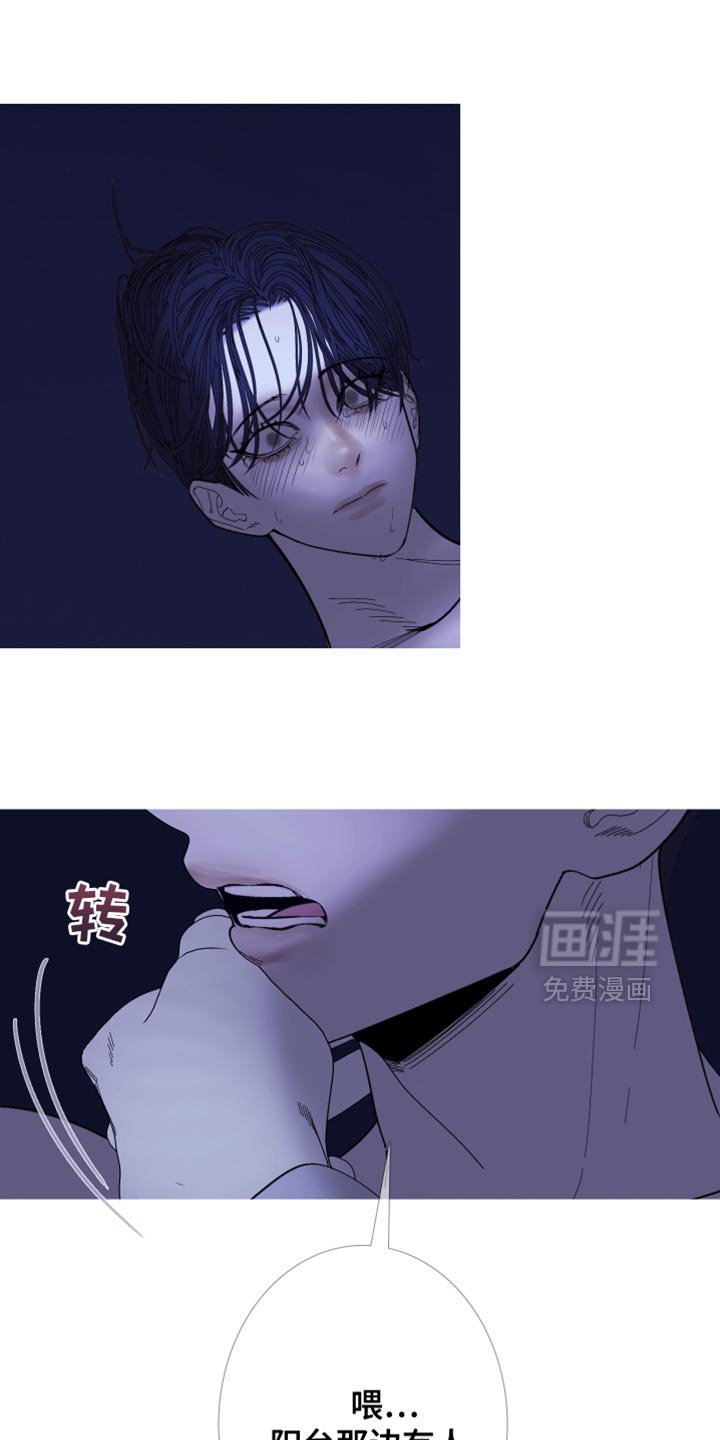 第142章：【第二季】别三心二意