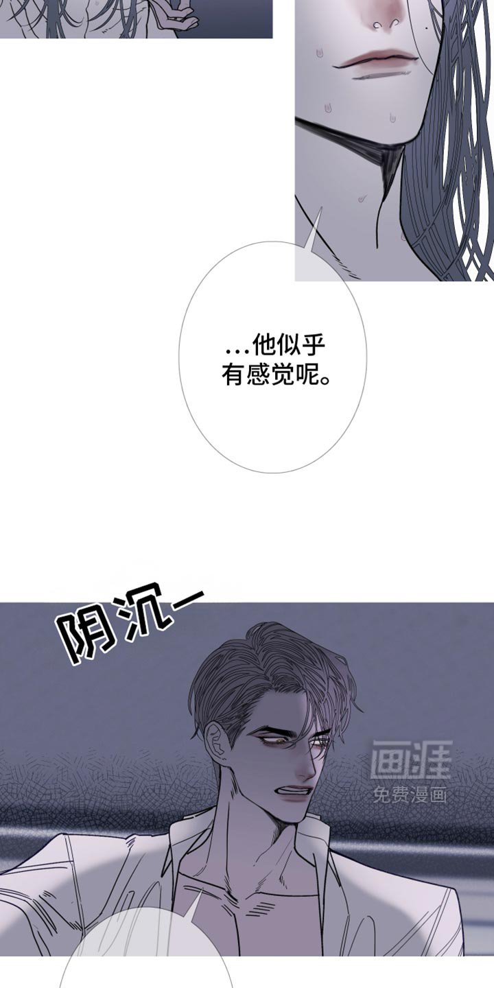 第145章：【第二季】天生一对