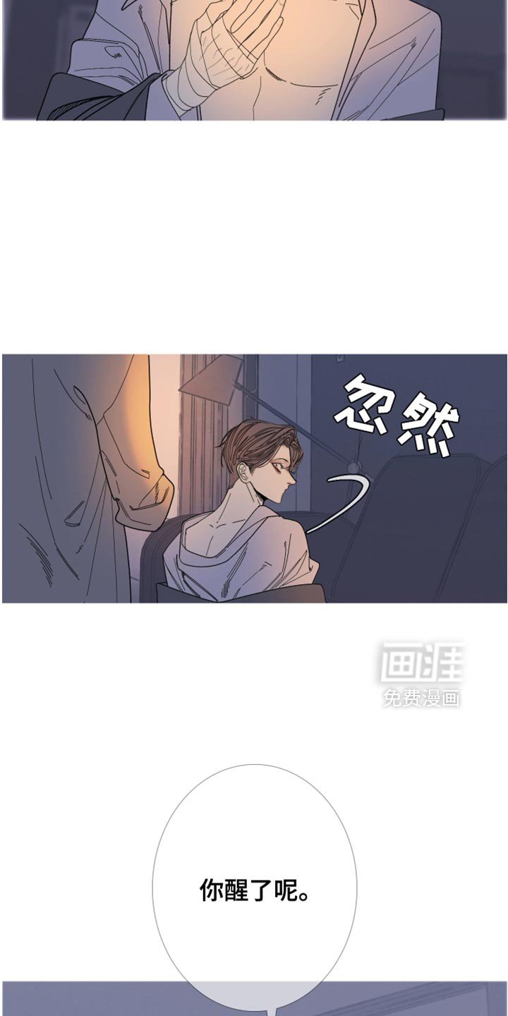 第148章：【第二季】为什么装作不知道