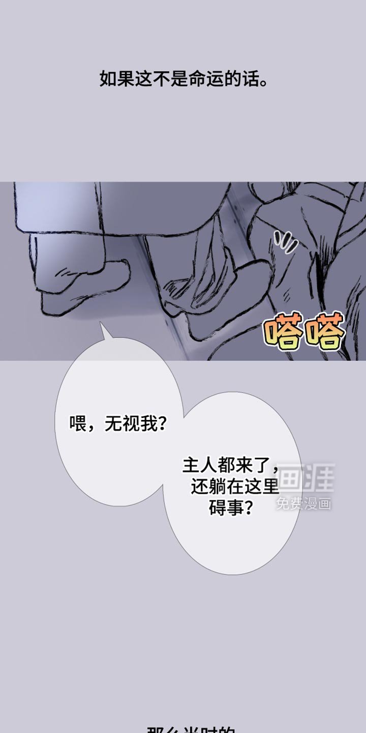 第156章：【第二季】有趣的事情