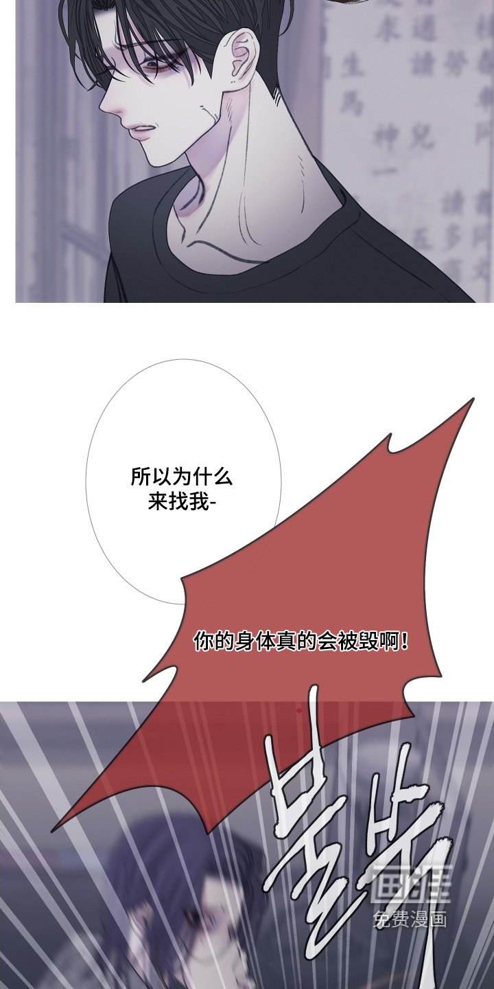 第164章：【第三季】长得很像