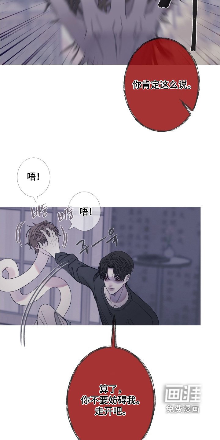 第164章：【第三季】长得很像