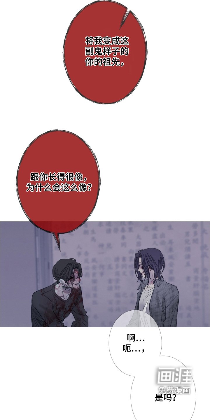 第164章：【第三季】长得很像