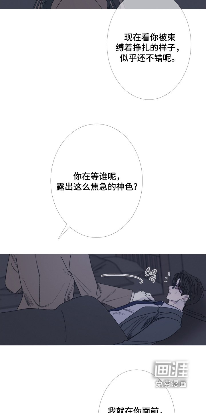 第174章：【第三季】一直陪着你