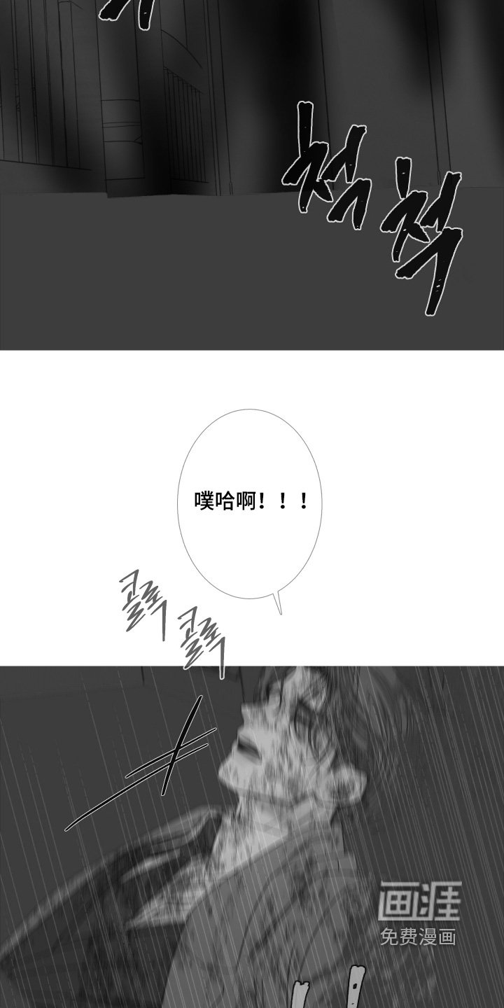 第175章：【第三季】又逃走了