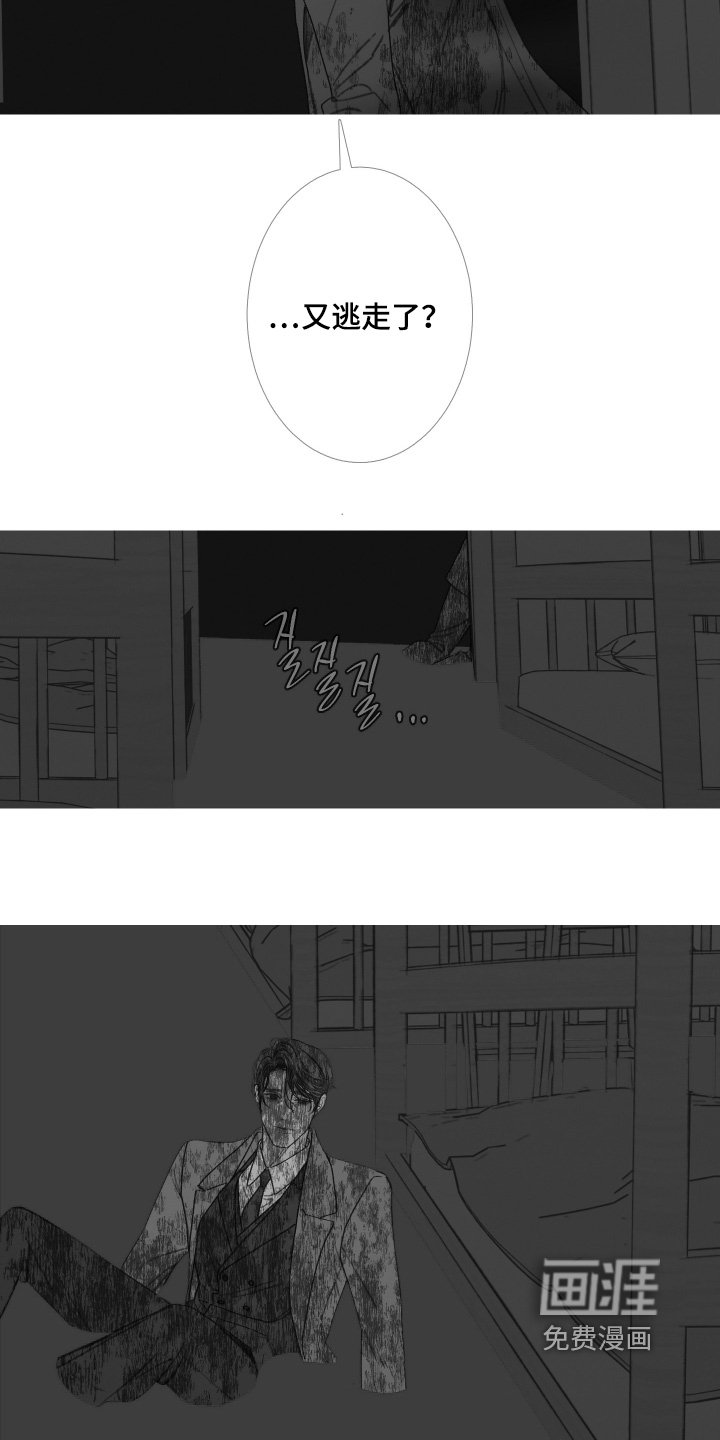第175章：【第三季】又逃走了