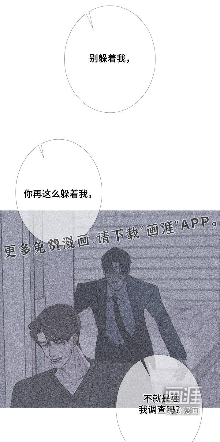 第187章：【第三季】拍下视频