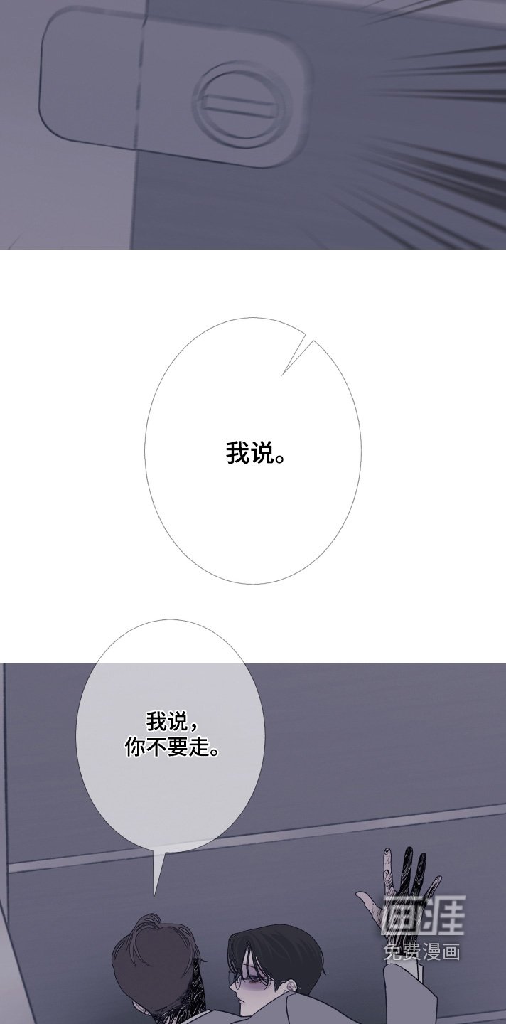 第187章：【第三季】拍下视频