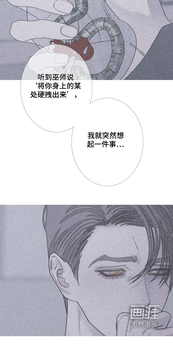 第187章：【第三季】拍下视频