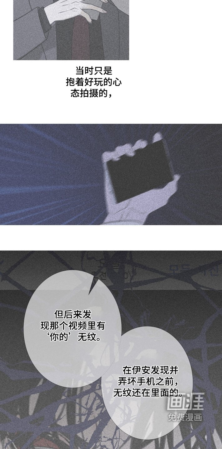 第187章：【第三季】拍下视频