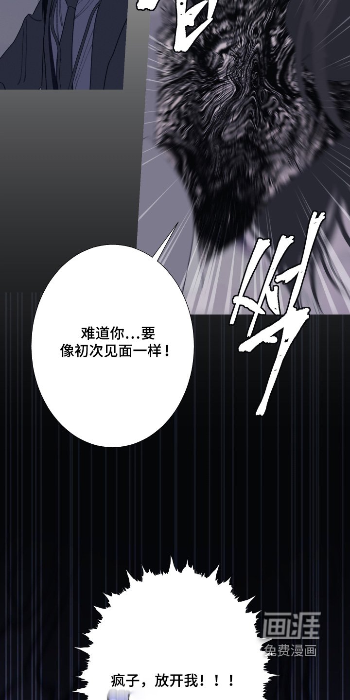 第190章：【第三季】你要做什么