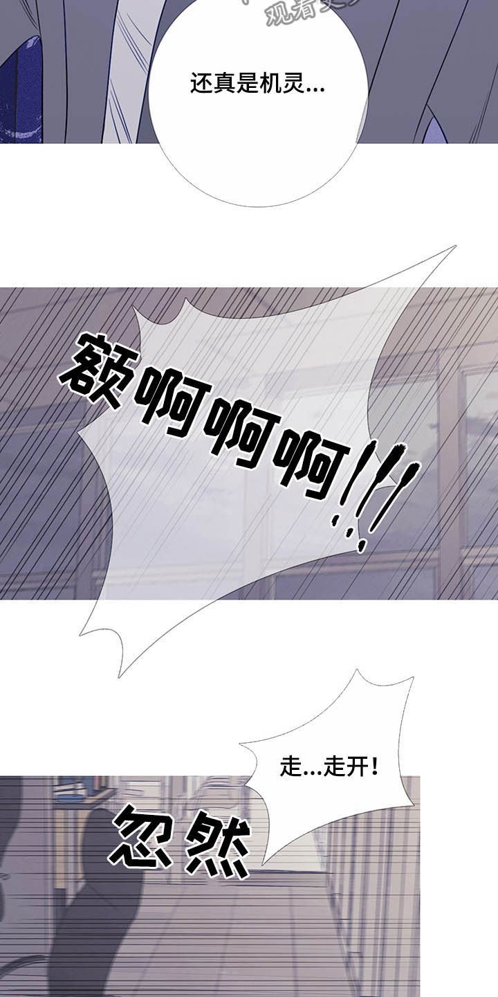 第29章：吓晕