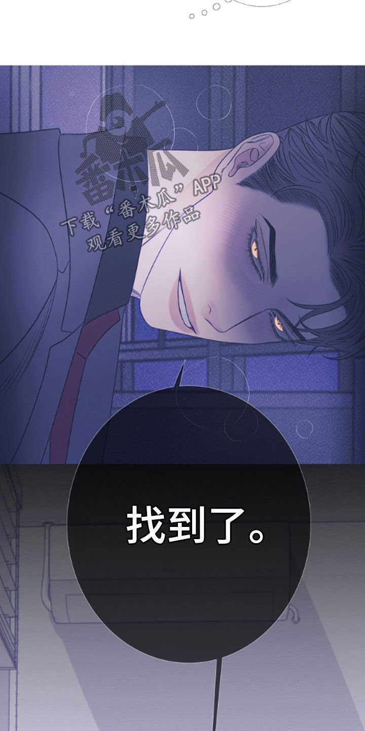 第37章：视频