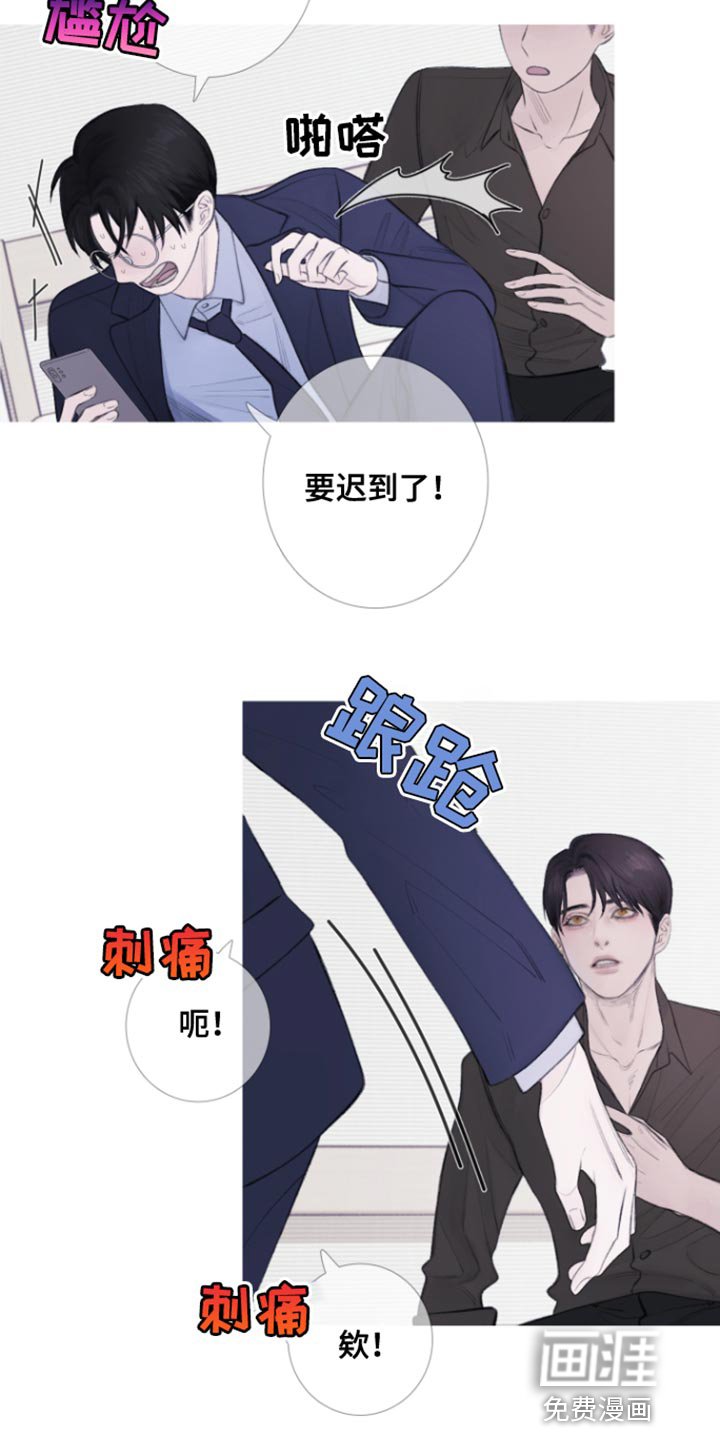 第53章：【第二季】期待