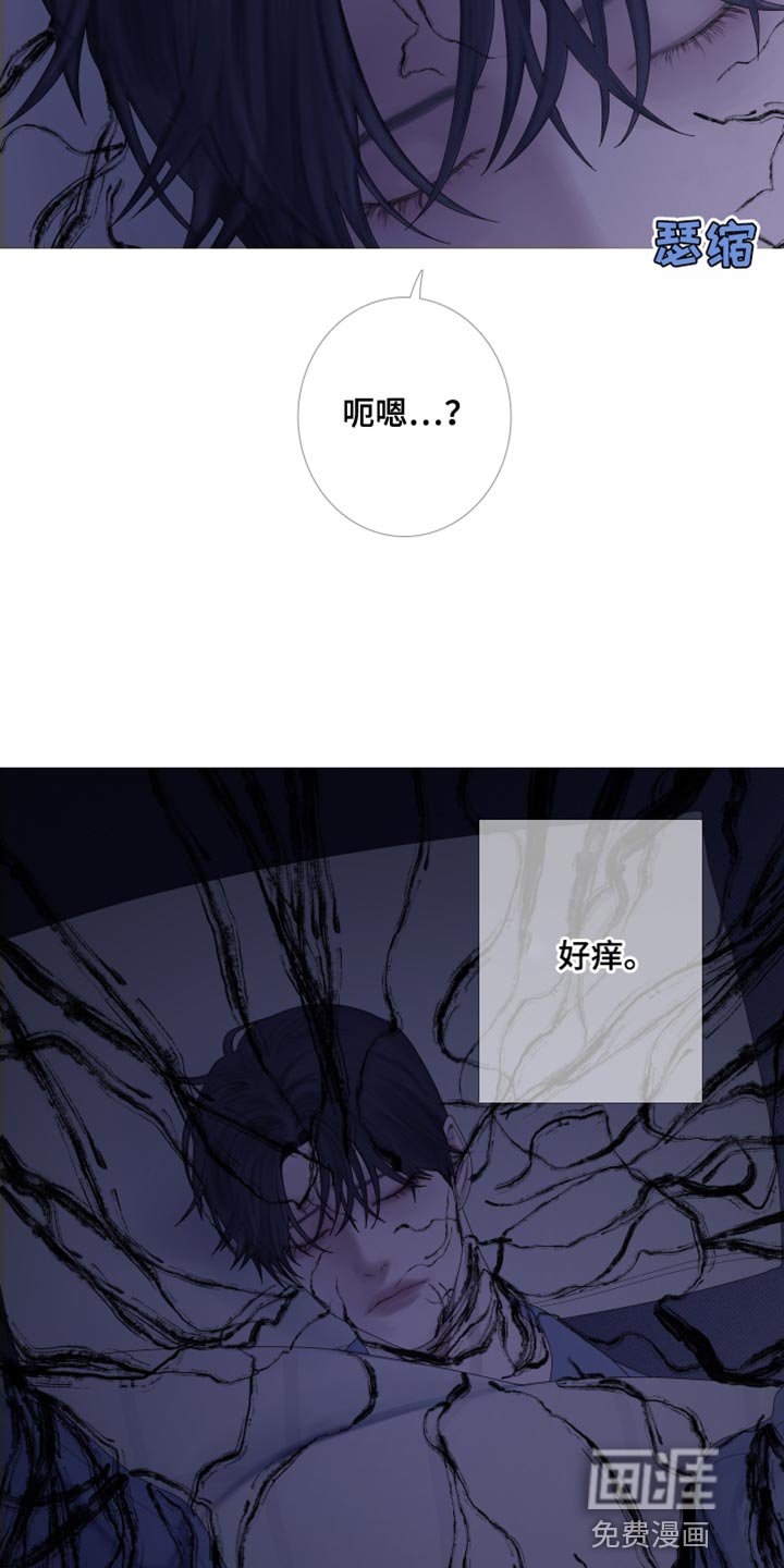 第60章：【第二季】为什么会在这里