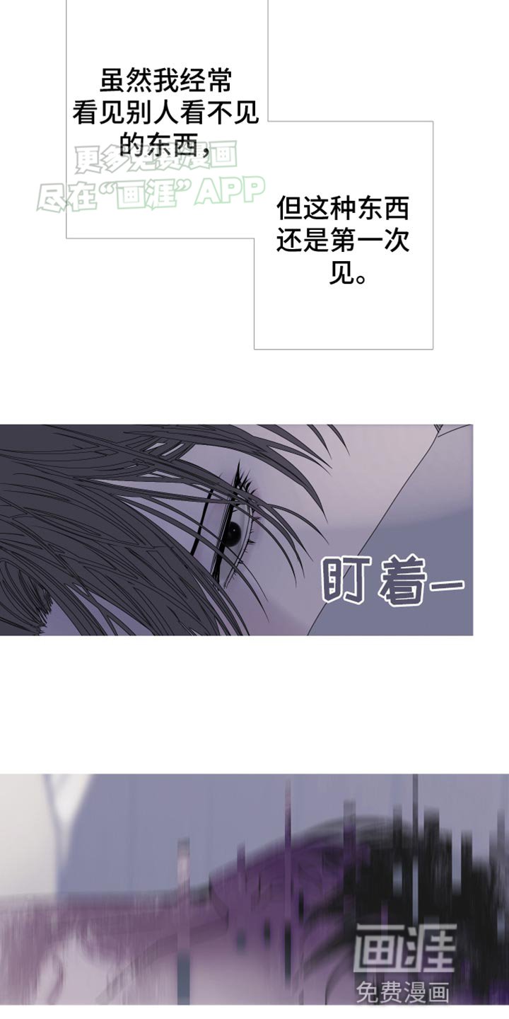 第89章：【第二季】绝对醒不来