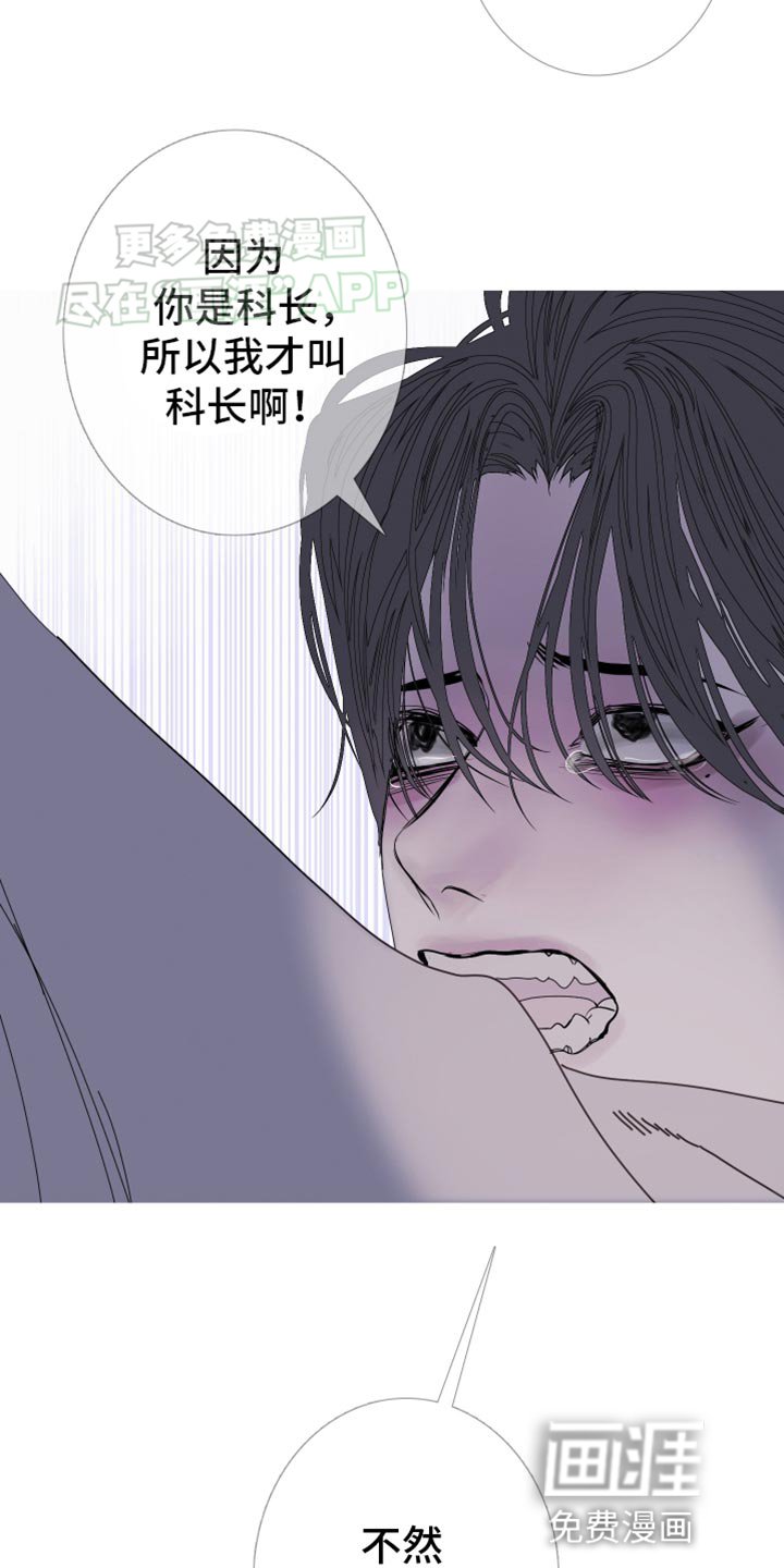 第90章：【第二季】不然该叫什么