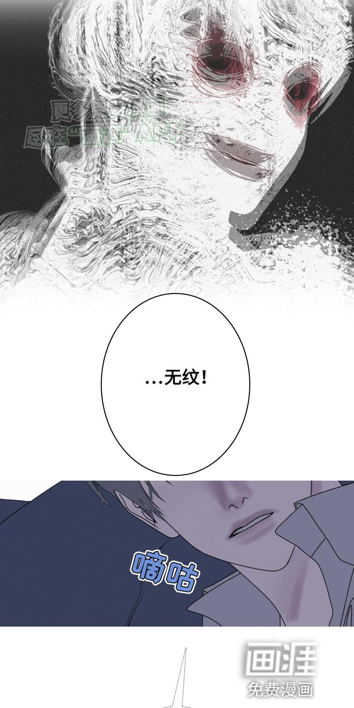 第92章：【第二季】一样的脸
