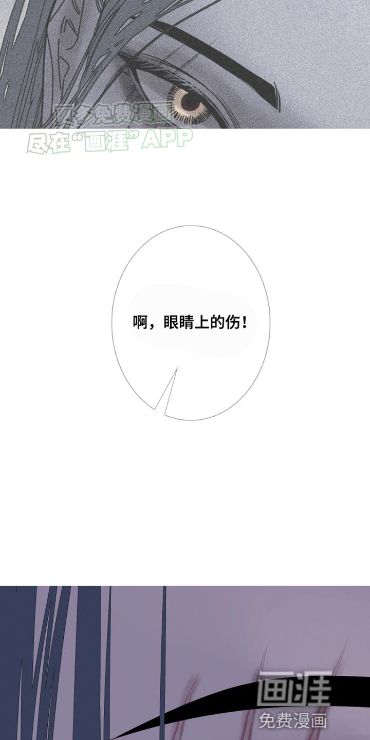 第92章：【第二季】一样的脸