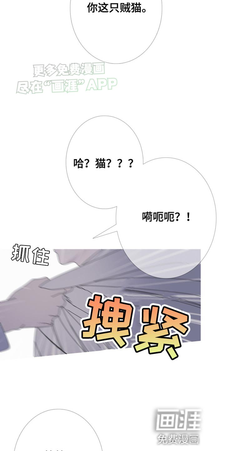 第93章：【第二季】故意给我看的？