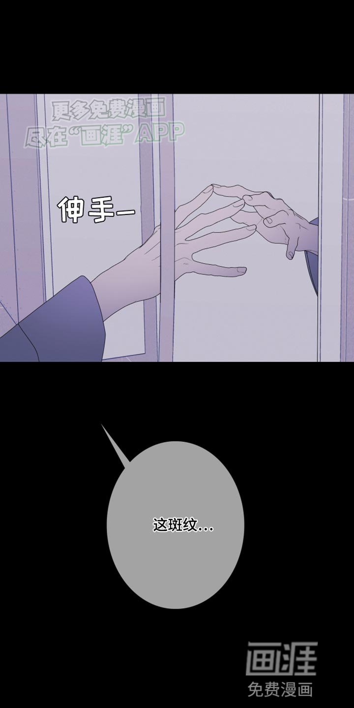第97章：【第二季】斑纹