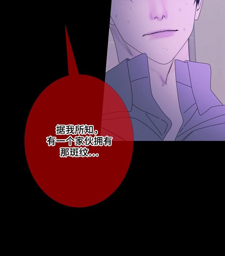 第97章：【第二季】斑纹
