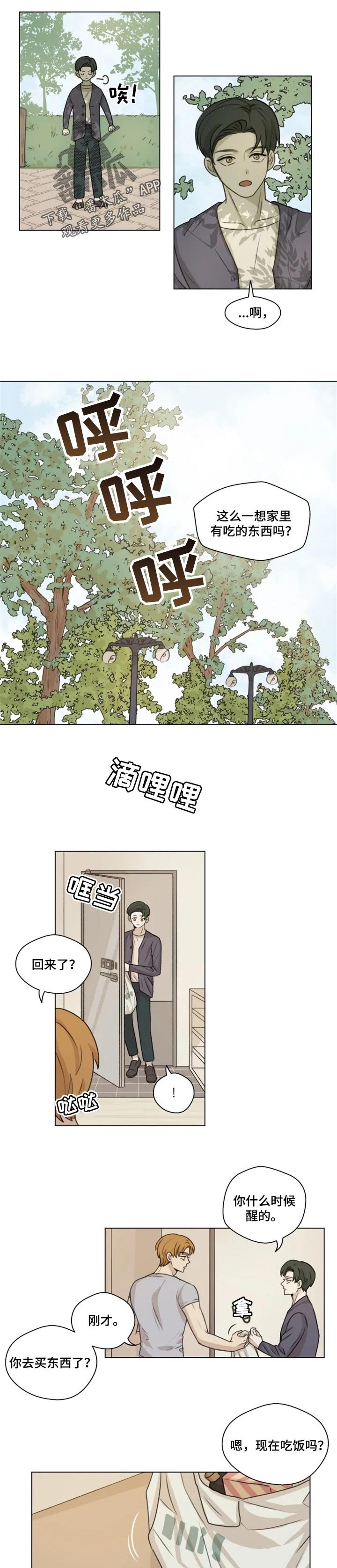 第17章：分量