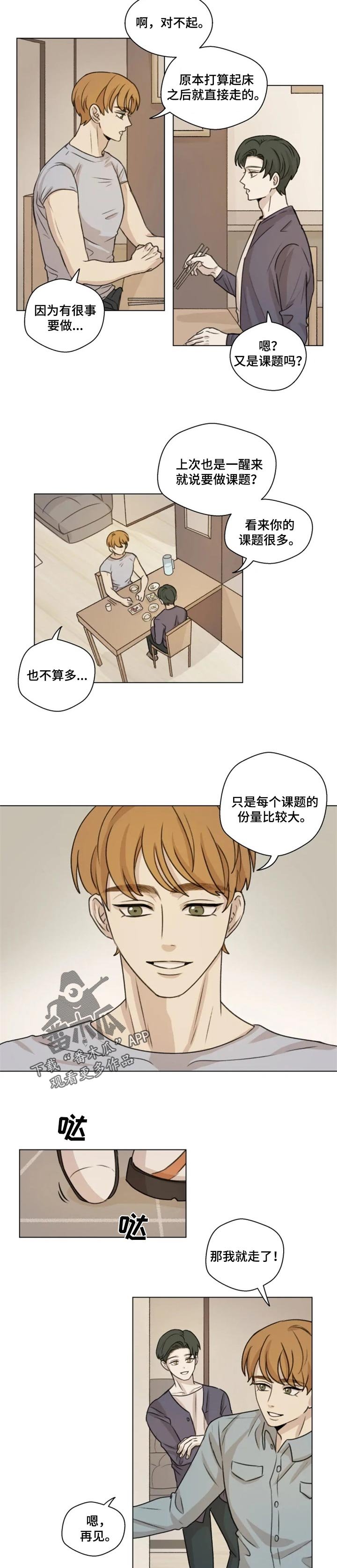 第17章：分量