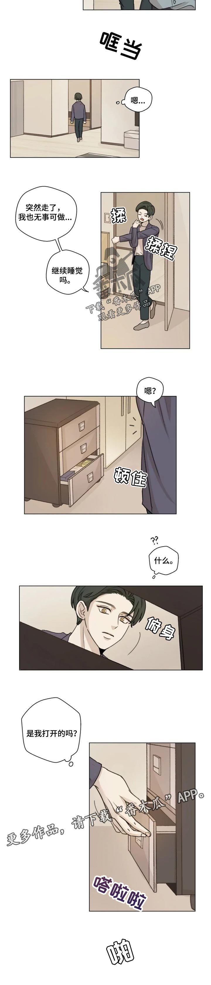 第17章：分量