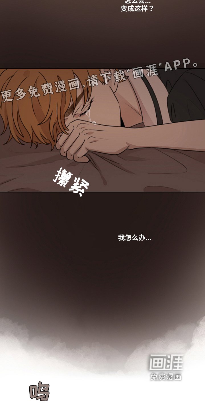 第39章：【第二季】收养