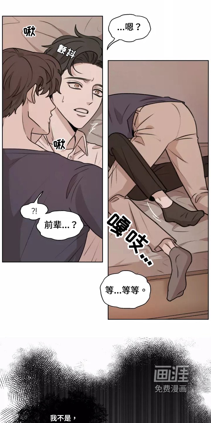 第39章：【第二季】收养