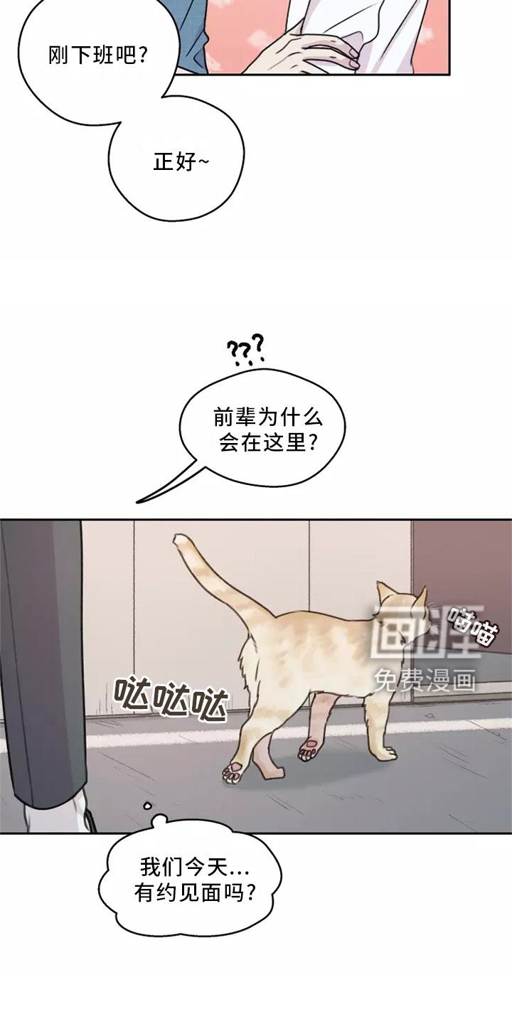 第47章：【第二季】小巷