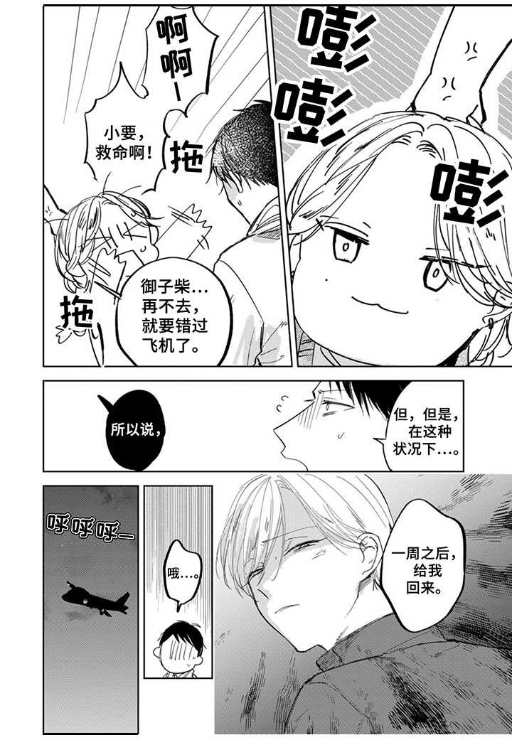 第17章：烦人