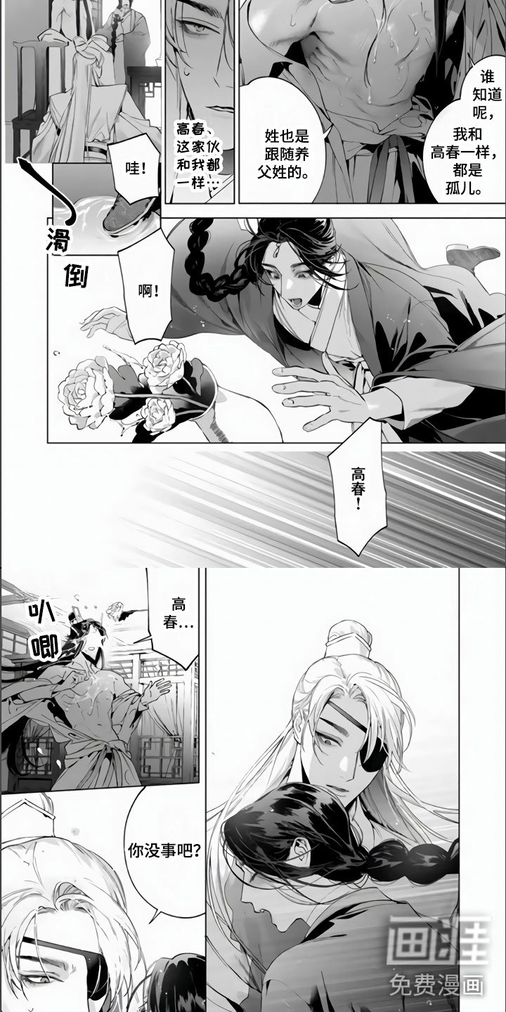 第12章：我养你啊