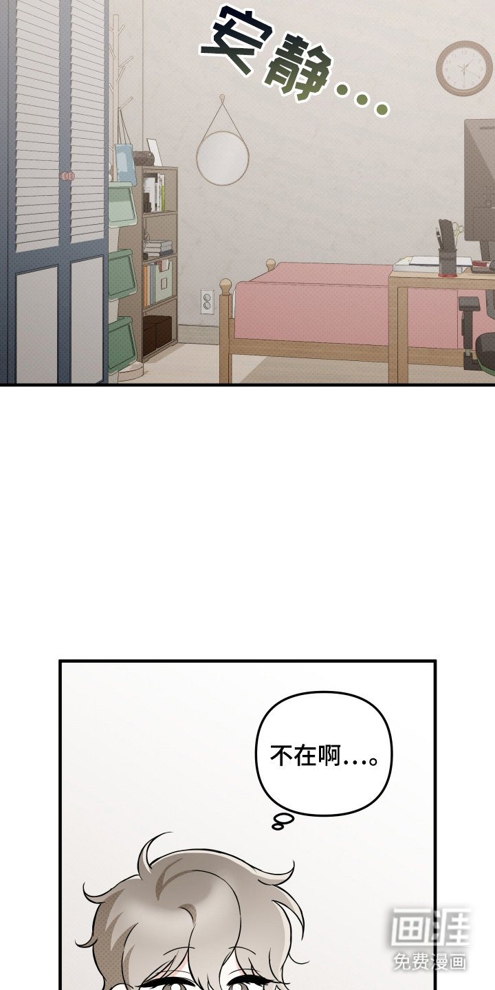 第17章：旅行
