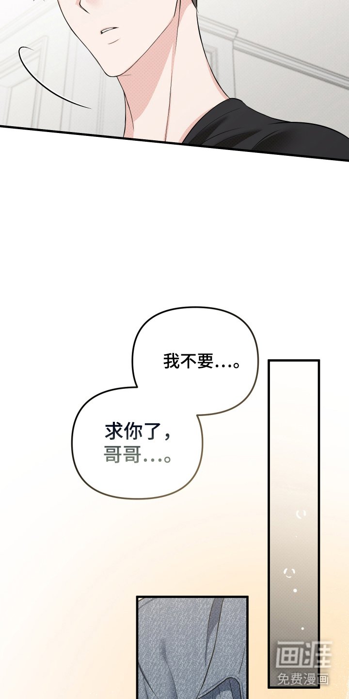 第21章：理由