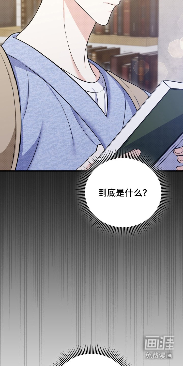 第3章：不仅仅是偶然