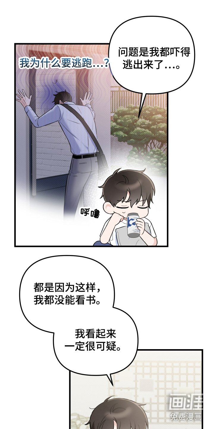 第3章：不仅仅是偶然