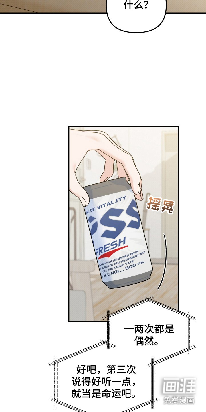 第3章：不仅仅是偶然